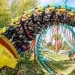 Busch Gardens radicais