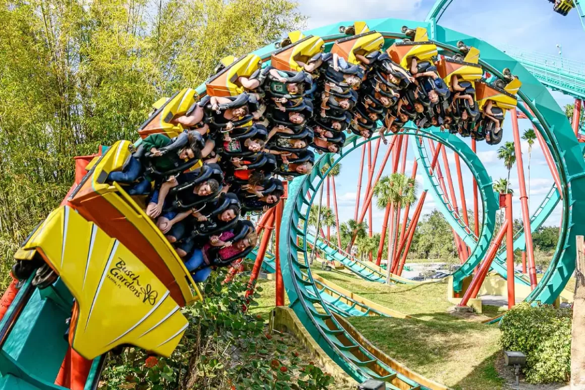 Busch Gardens radicais