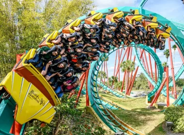 Busch Gardens radicais