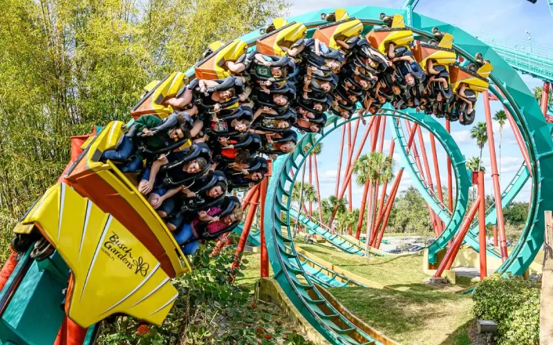 Busch Gardens radicais