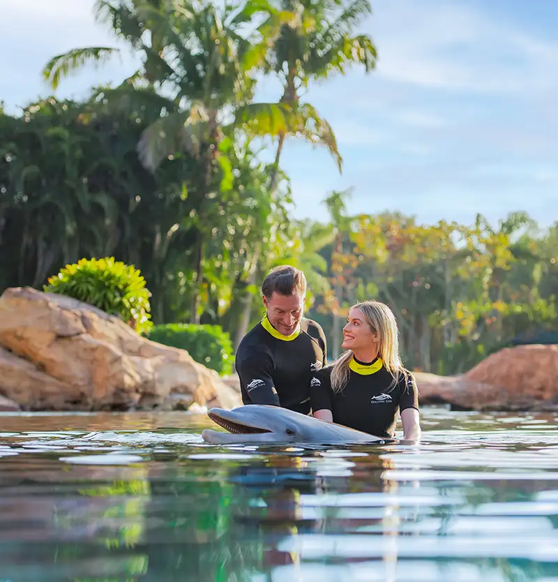 Discovery Cove novidades