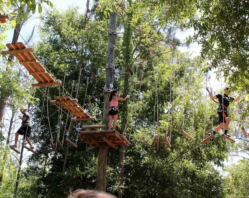 Tree Trek Adventure Park