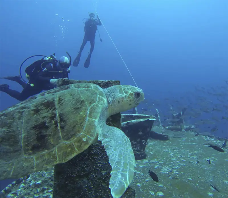 Florida Panhandle Shipwreck Trail (Florida Panhandle)