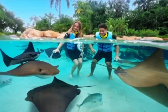 Discovery Cove tem oferta exclusiva de fim de ano