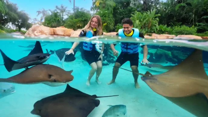 Discovery Cove tem oferta exclusiva de fim de ano