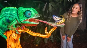 ILLUMINATE: Aquatica Orlando estreia primeiro festival noturno de lanternas 