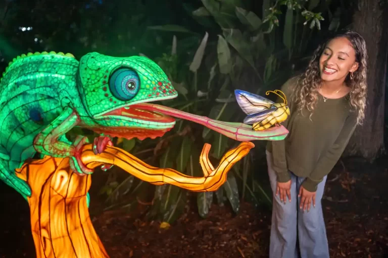 ILLUMINATE: Aquatica Orlando estreia primeiro festival noturno de lanternas 