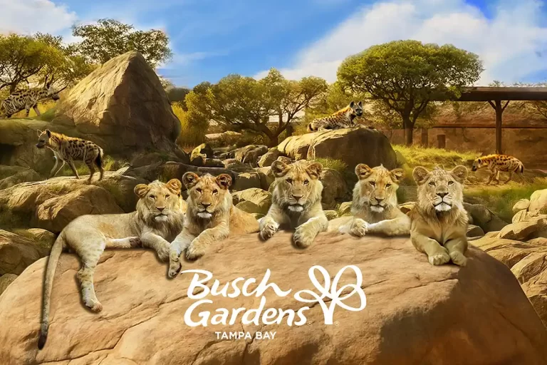 Busch Gardens apresenta “Lion & Hyena Ridge”
